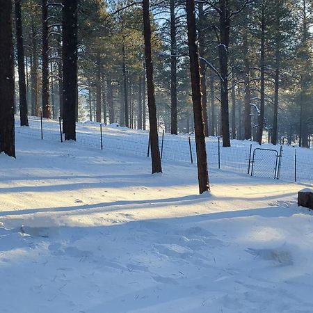 Close To Williams, Flagstaff, Grand Canyon And Sedona Экстерьер фото