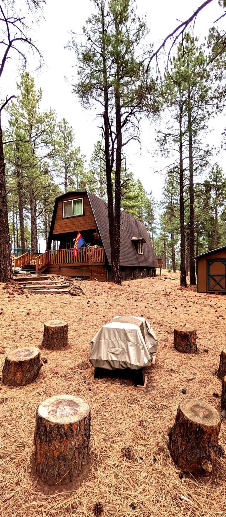 Close To Williams, Flagstaff, Grand Canyon And Sedona Экстерьер фото