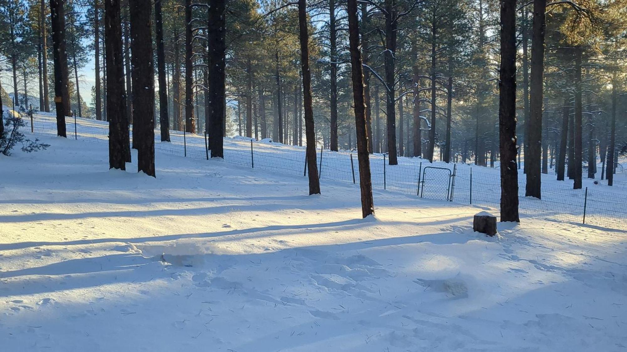 Close To Williams, Flagstaff, Grand Canyon And Sedona Экстерьер фото