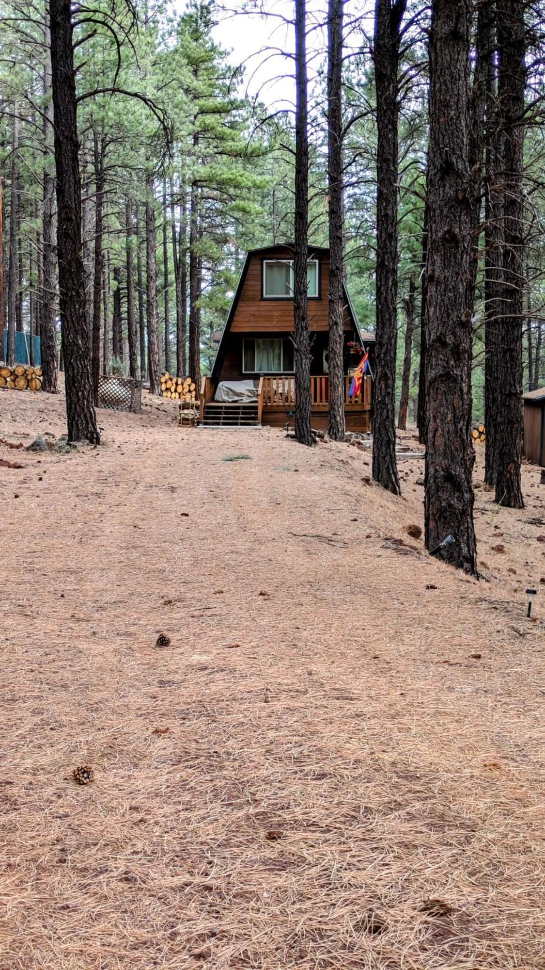 Close To Williams, Flagstaff, Grand Canyon And Sedona Экстерьер фото